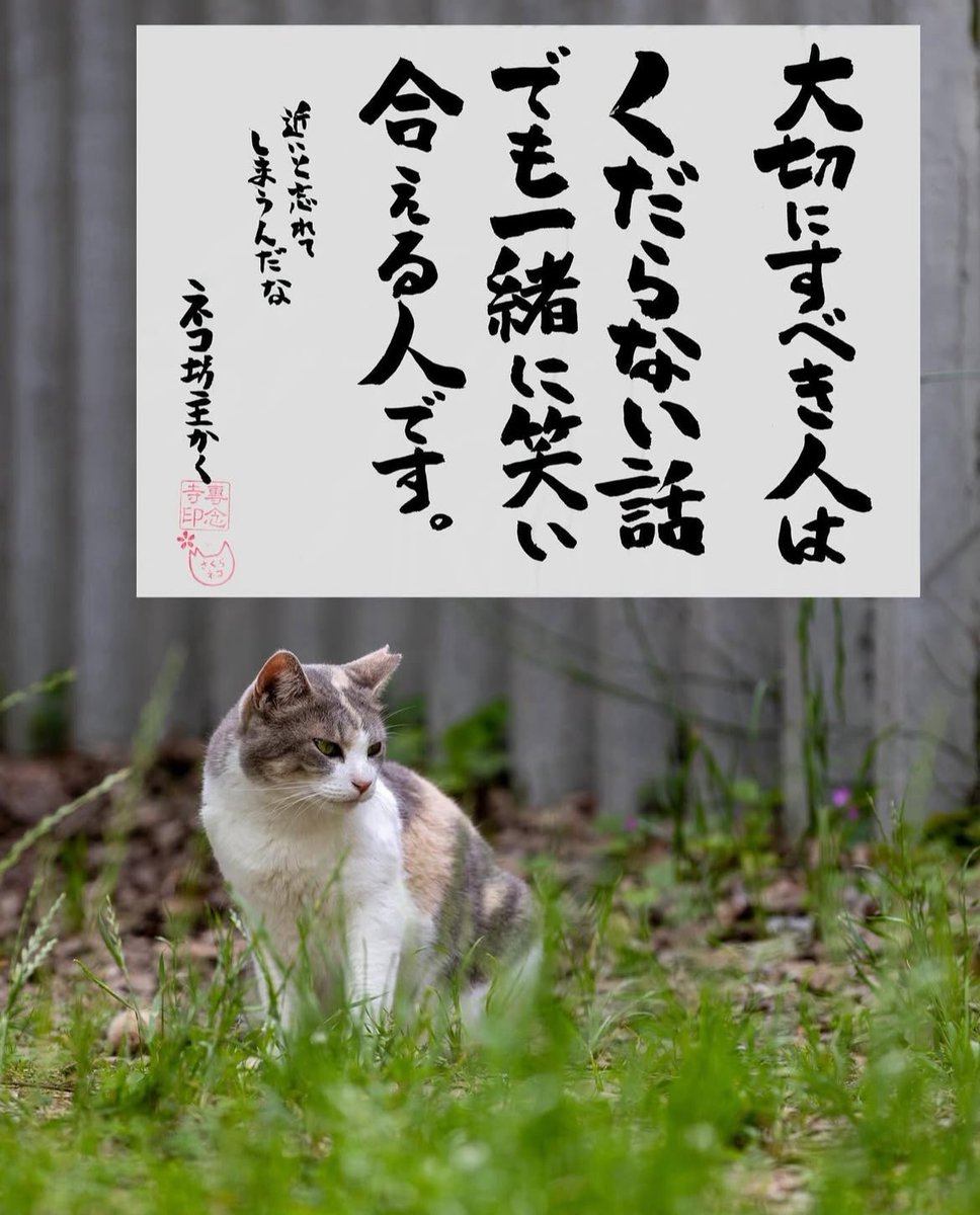 yabumoto610's tweet photo. ネコさんから人間さんへ今日の一言 https://t.co/UEEdeqxiCR