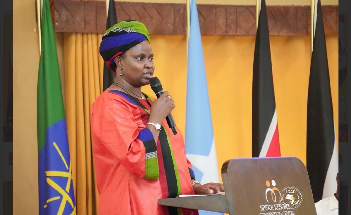 This is an excellent opportunity to bring together multi-sector actors to think, plan, and find practical solutions collaboratively. Every time we meet, there is a purpose. In this case, our goal is not only to prepare for the launch but also to critically review and assess the