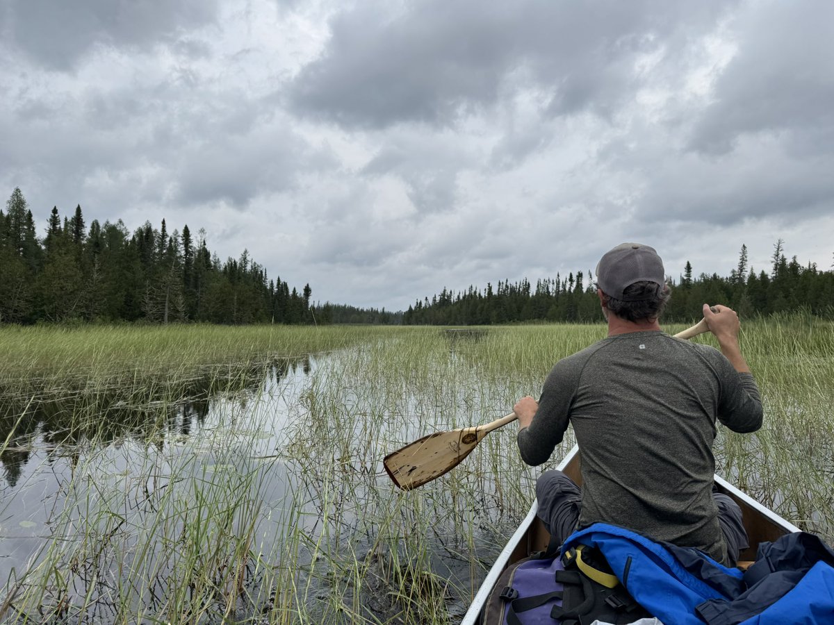 Carmine Minutillo tweet media