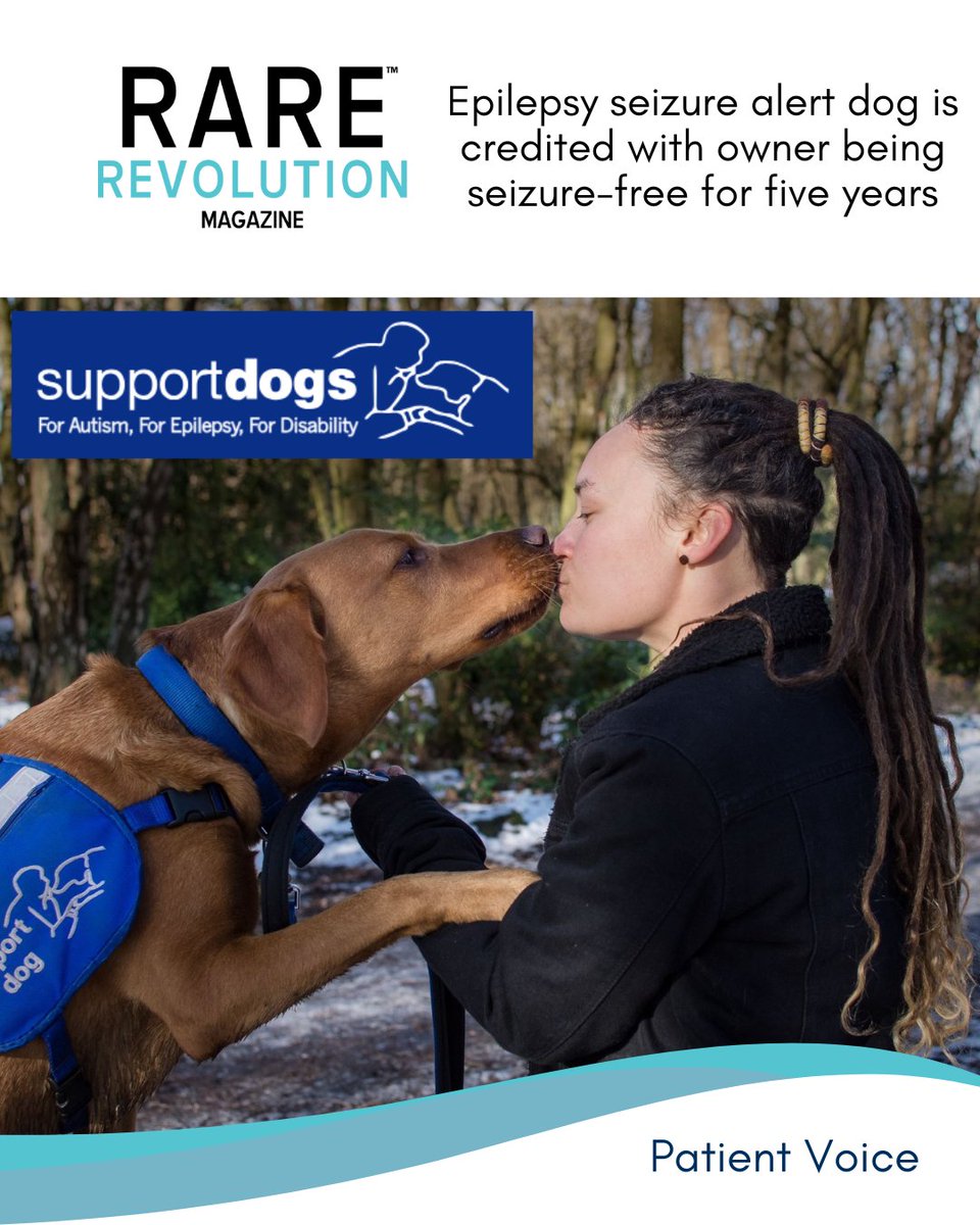 RareRevolutionM's tweet image. Meet Wadsley, the amazing epilepsy seizure alert dog who has helped their owner Brogan stay seizure-free for five years! 🐾💙 This incredible partnership showcases the life-changing impact of these specially trained dogs. Read more here: rarerevolutionmagazine.com/epilepsy-seizu……