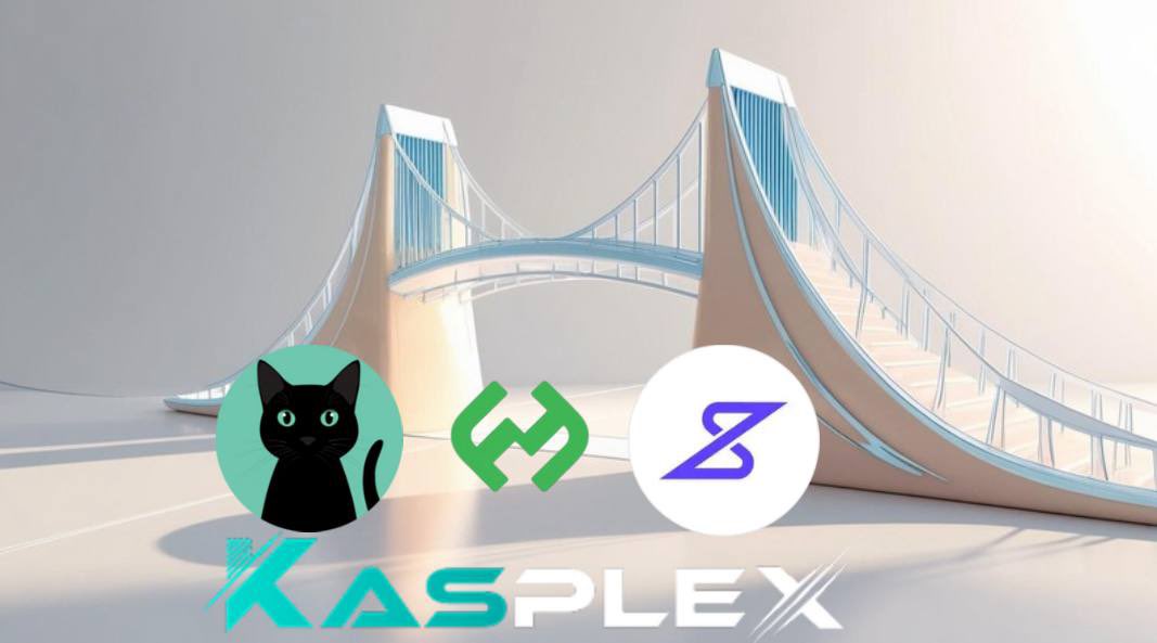 GoonBoyCrypto 𐤊 👽 (@goonboycrypto) on Twitter photo As mainnet approaches I’m getting more and more excited !!!
Please read to the bottom, there’s a massively important bit of info for you all regarding bridging to the Kasplex layer 2
<a href="/ZealousSwap/">Zealous Swap</a>
Stand out dex on testnet, massive percentage of the volume of transactions on the As mainnet approaches I’m getting more and more excited !!!
Please read to the bottom, there’s a massively important bit of info for you all regarding bridging to the Kasplex layer 2
<a href="/ZealousSwap/">Zealous Swap</a>
Stand out dex on testnet, massive percentage of the volume of transactions on the