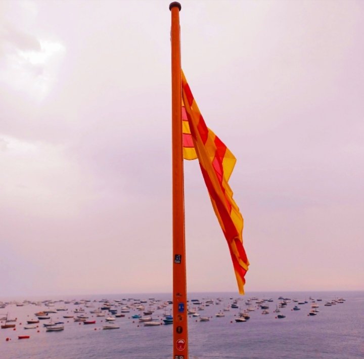 Marta (@golfet61) on Twitter photo 