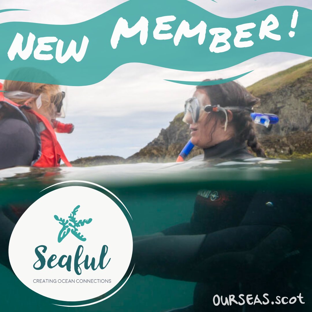 ourseas_scot's tweet image. We’re delighted to welcome Seaful, a UK charity dedicated to connecting people to our ocean, to the Our Seas coalition, helping us to call for better protection of Scotland’s seabed. 

Welcome, Seaful!
