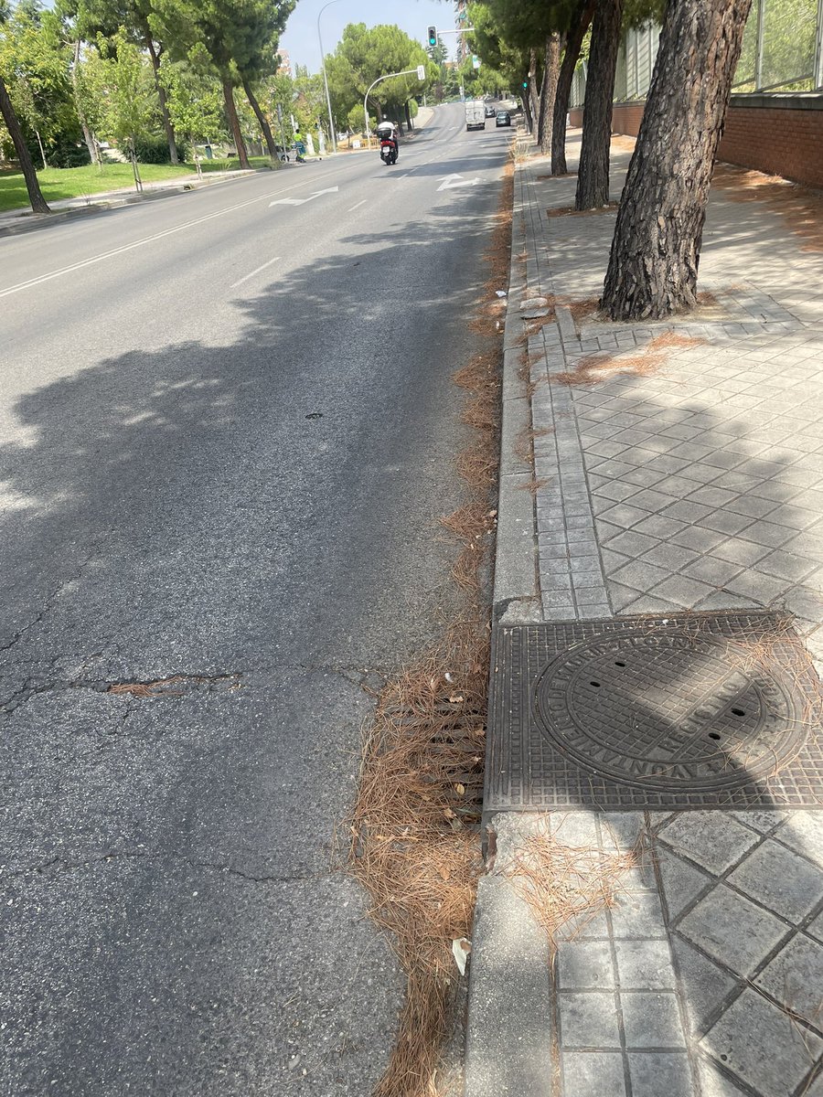 beallamazar's tweet photo. @Lineamadrid @avipenagrande estás fotos son de Isla Tabarca, pero es la realidad de la mayoría de calles y alcantarillas del barrio y distrito. En semanas las lluvias https://t.co/MG5BNqnrLu