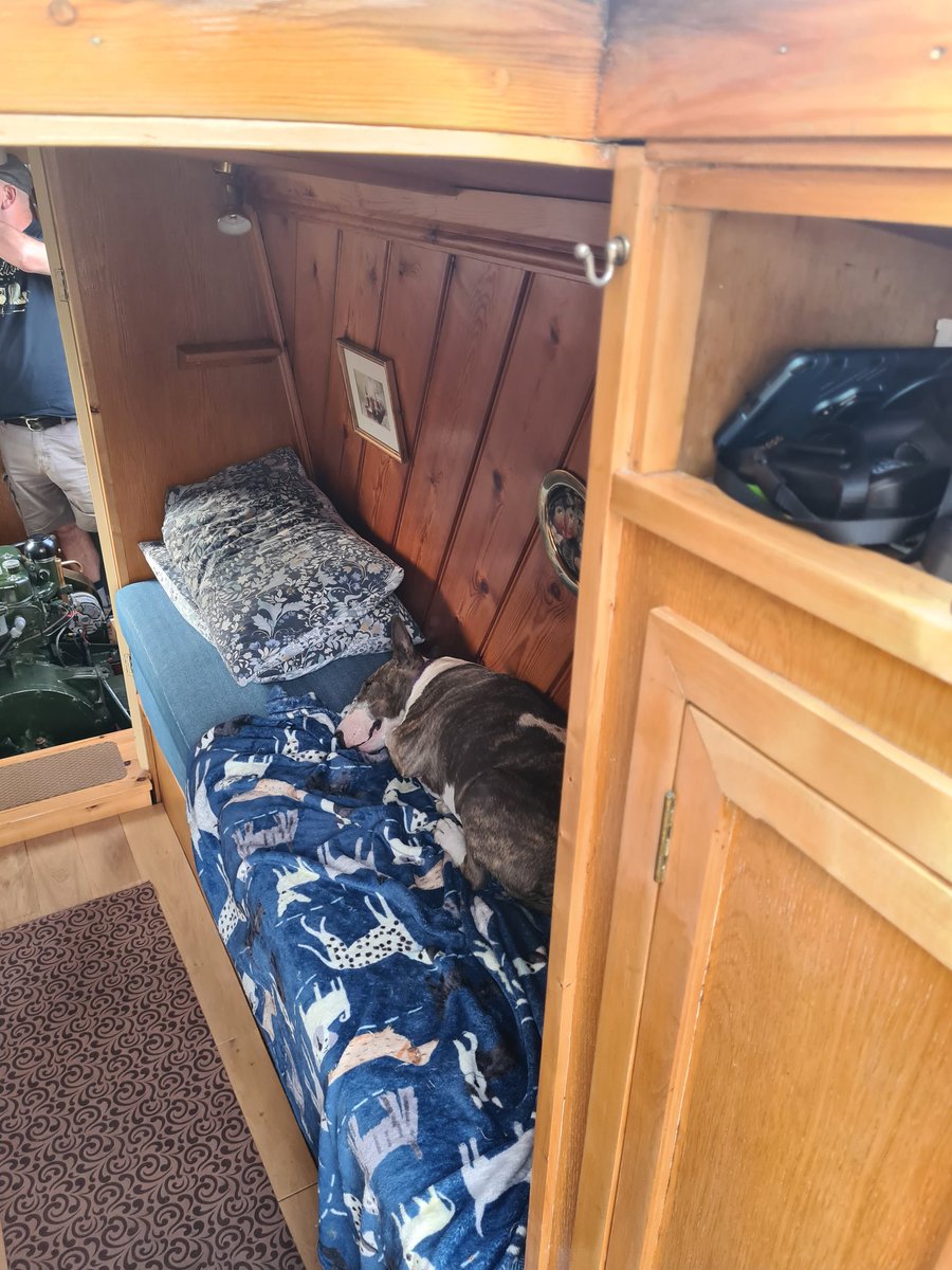 Luna's cosy in the back cabin