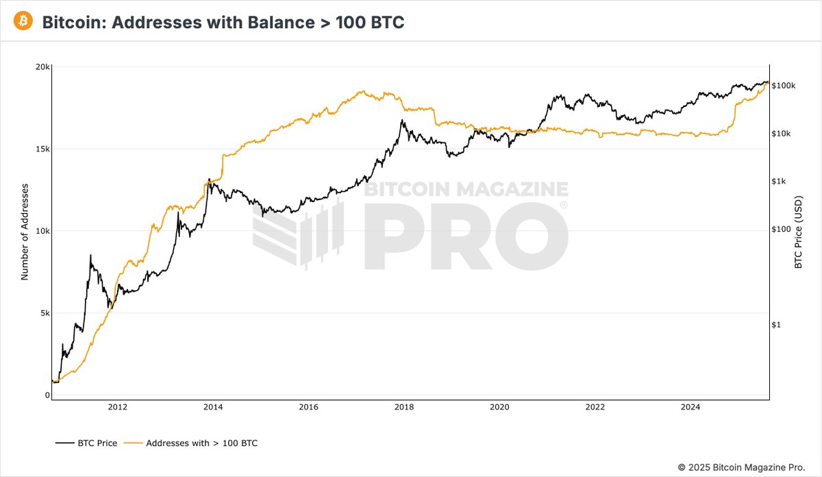 🐋 عدد العناوين اللي تمتلك أكثر من 100 بتكوين وصل إلى أعلى رقم في التاريخ 🚀🔥

الحيتان ما تبيع… الحيتان اجمع! 👀
