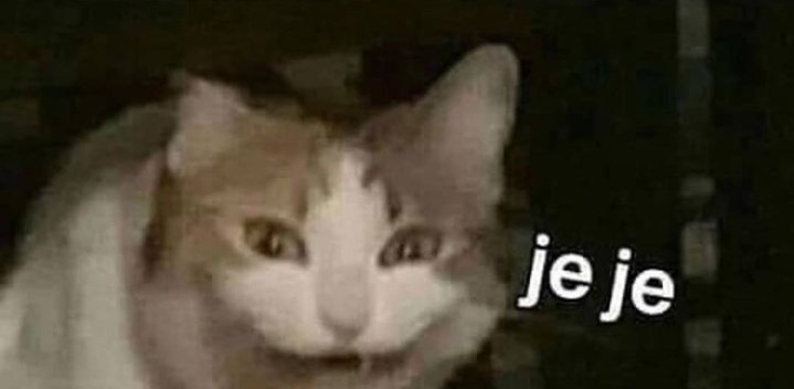 PrinAurora_US's tweet image. //bu