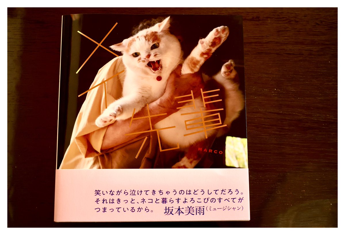 メルねこ MARCO 🟡写真集「メイ先輩」🟡 (@marco74444) / X
