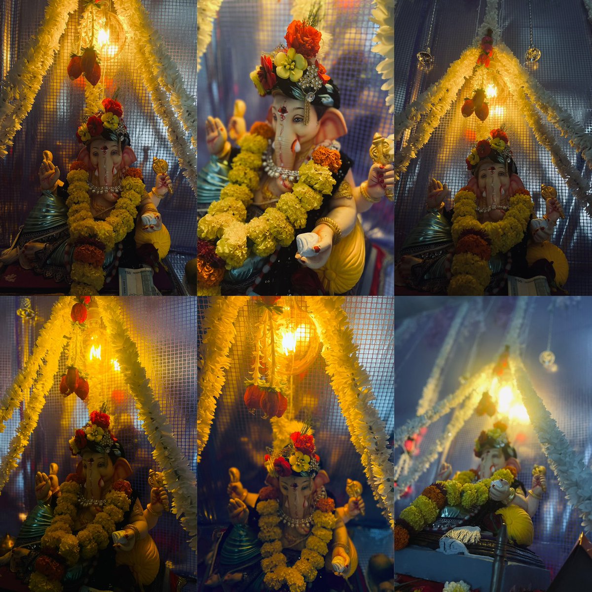 गण गणपतये नमः✨