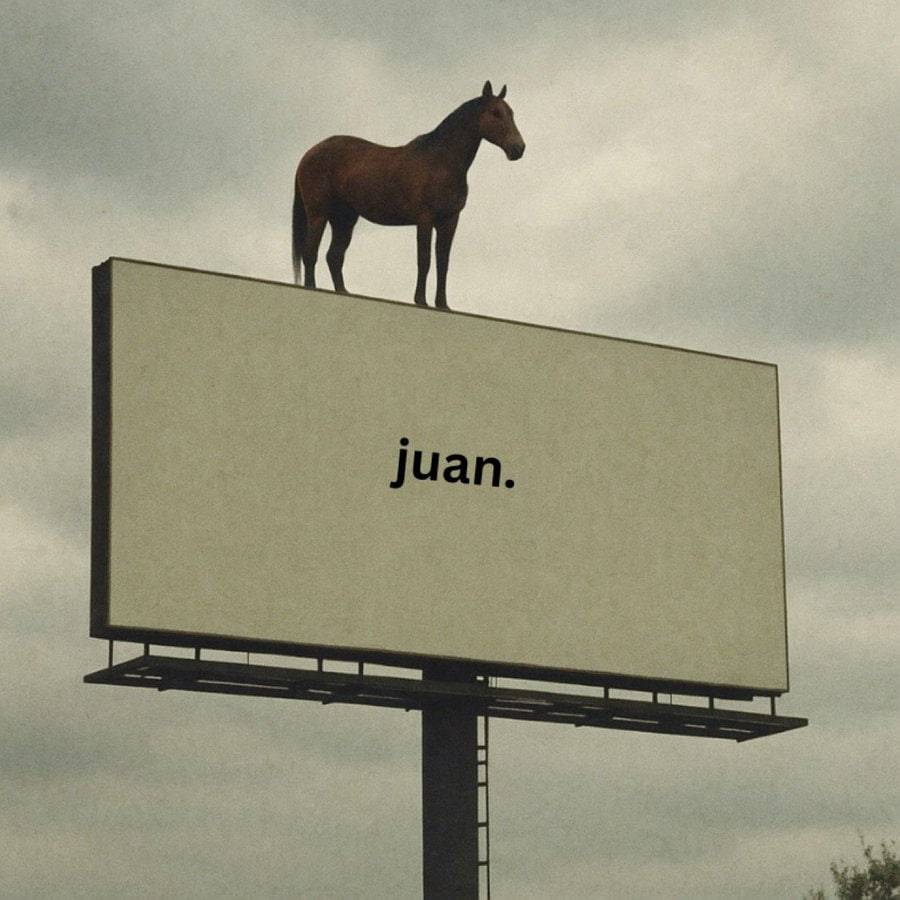 FluffyBosSs's tweet photo. @Degen_Hardy Just $juan https://t.co/dLWBT3RJR5