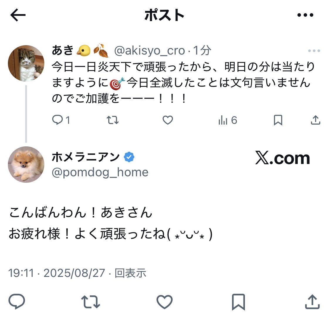 あっぴ❥コメントなし＆即購入OK❥ページ Z/X -Zillions of enemy X- ブロッコリー トレーディングカード