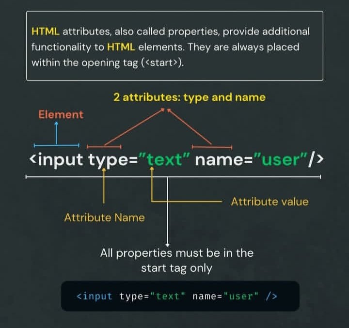 شرح الAttributes في HTML باختصار 👨🏻‍💻
