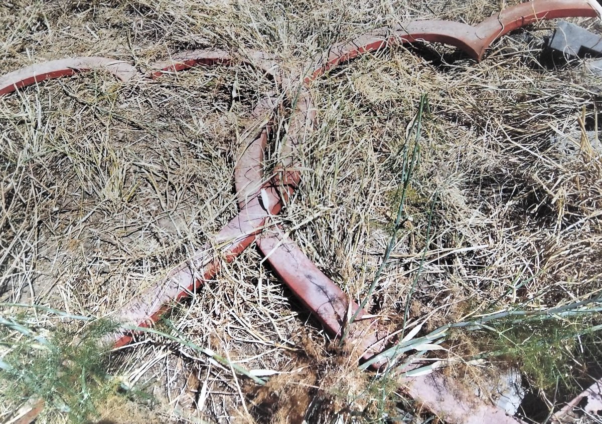 <a href="/malaganosetoca/">Patrimonio Malacitano</a> Estarán con los Corazones de la rotonda del mismo nombre.
Esto es lo que se denuncia en esta petición de firmas, hoy en la tribuna, en barriada de #LosCorazones❤️❤️ mañana en tu barrio.
change.org/p/salvemos-los…