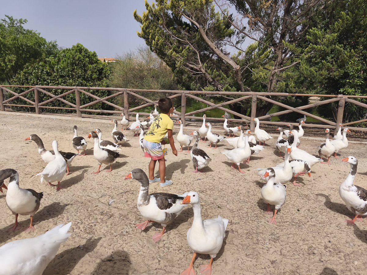 Yecla tiene muchas cosas para visitar entre ellas, un jardín grandísimo donde disfrutan grandes y pequeños. #Yecla