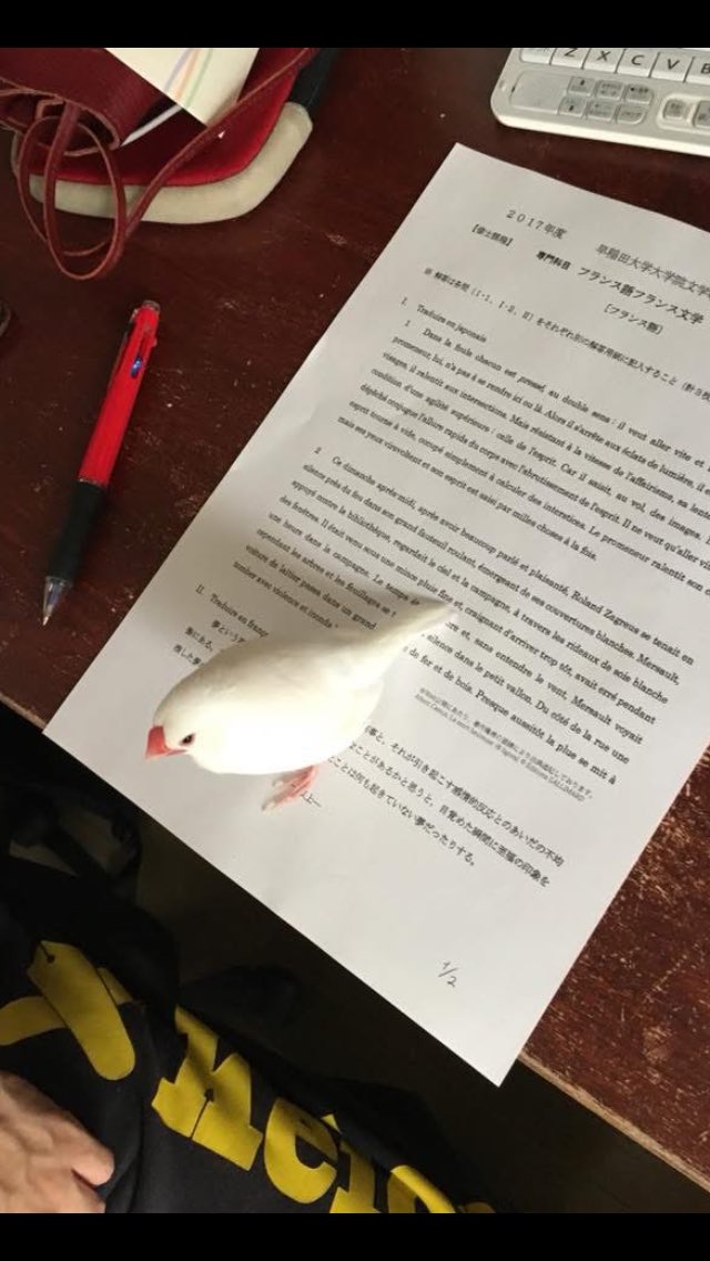 『かなしみのぼうけん』タイトルがこぼれた涙でにじんでる。

どんなにどんなにバイクで走っても私の大切な文鳥にもう会えない。
すごく遠くへ行ってしまったのかな…。ほとんど文字がありませんが、絵からなにもかも伝わってきます。

明日も11時に開けます〜
