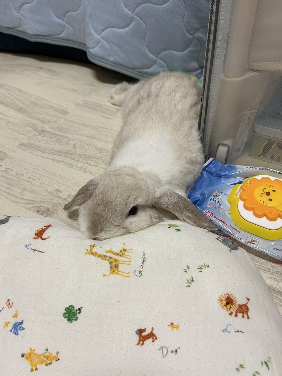 顎乗せるのにちょうどいい〜