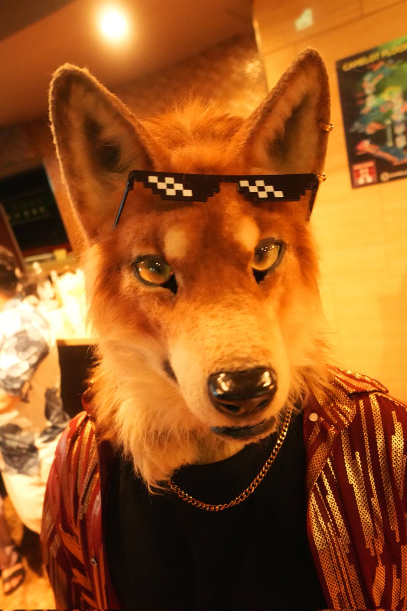 バイブス上げていこうぜ!

#WerewolfWednesday 
#創造トリアノン 
#EGO01 

📸 Photo by <a href="/yaji_motibane/">ヤジ</a>