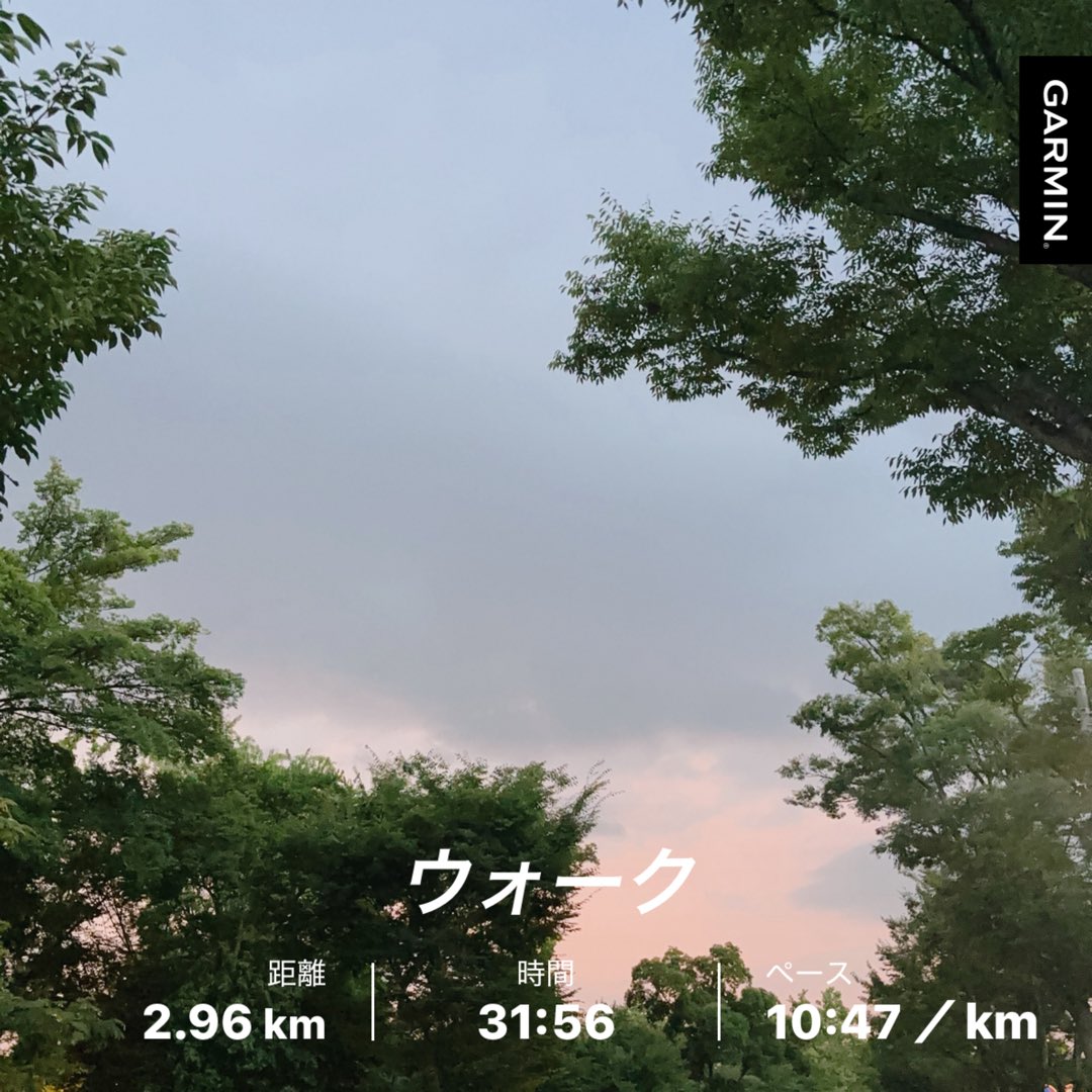 8/26朝ラン 5.6km
8/27夕方ウォーク 2.9km

1時間後に雨雲近づいてるとのことで急いでウォークに出るも15分後くらいからゴロゴロと…

空も変に赤いし、予定を早めて戻るもすぐ☔️になってきて、一瞬視界が全部ピンクに👀

直後ドッカーンと雷鳴⚡️

自分に落ちたかと思いました😇

そのあと猛ダッシュ😂
