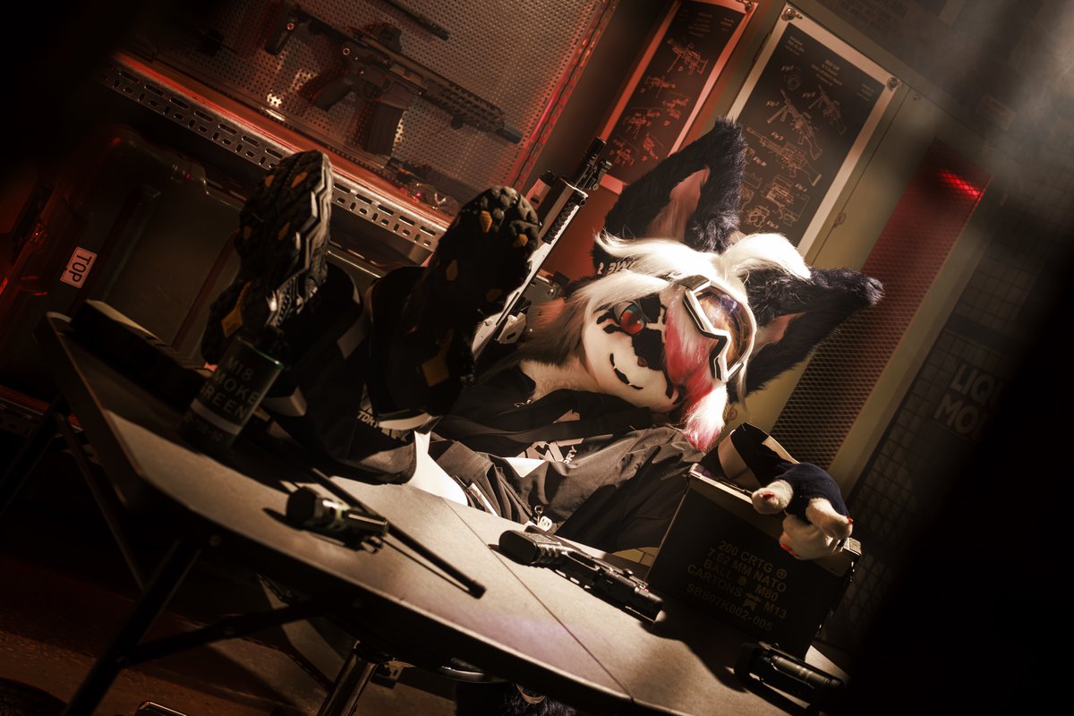 FUR+PLUS tweet media