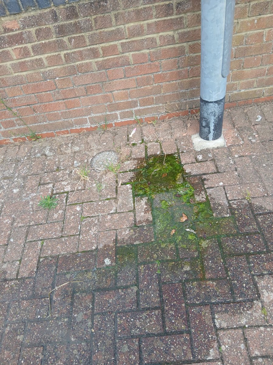 John Cook tweet media