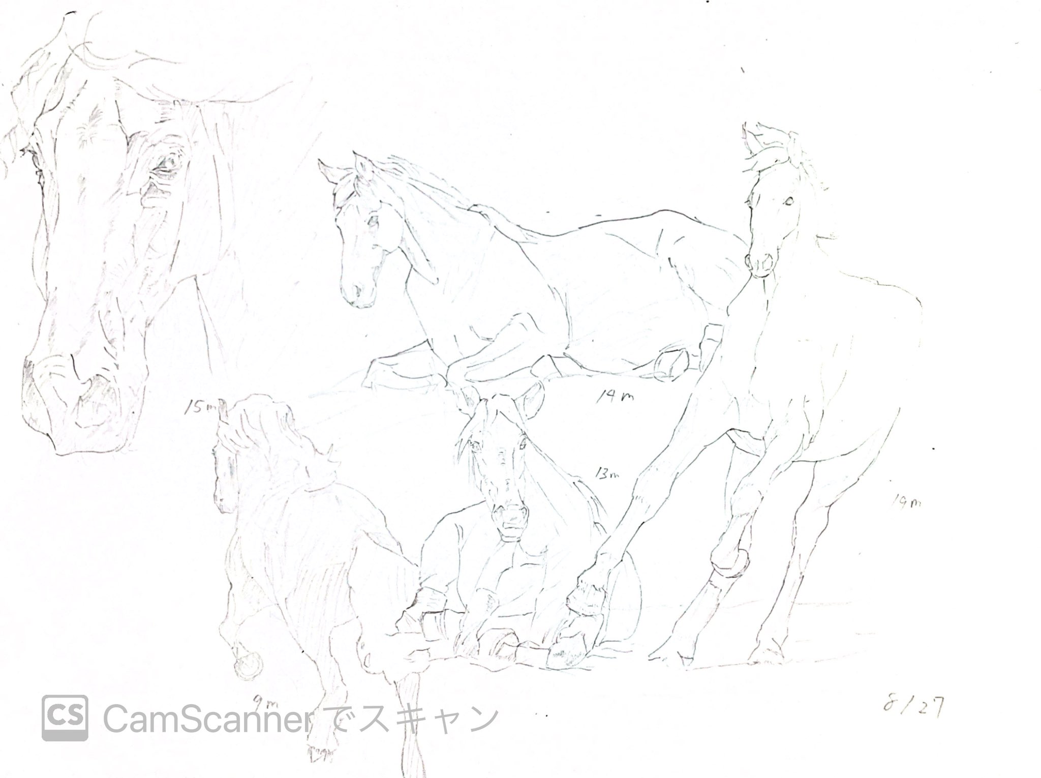 飛鳥ページ　イラストオーダー TVアニメ「最遊記RELOAD -ZEROIN-」 - 描き下ろしイラスト 三蔵