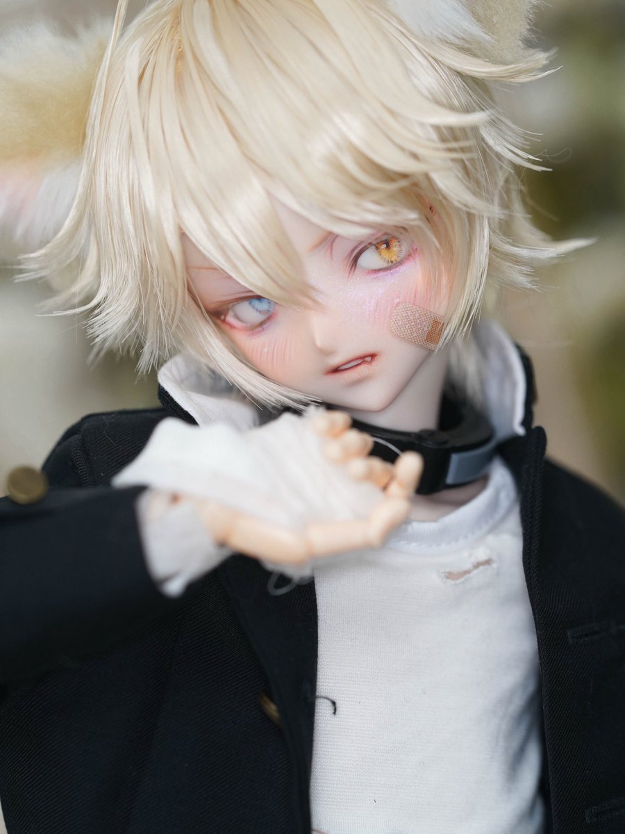 𝕊𝕖𝕒𝕝𝕒𝕟𝕕 (@sealand1995) / X