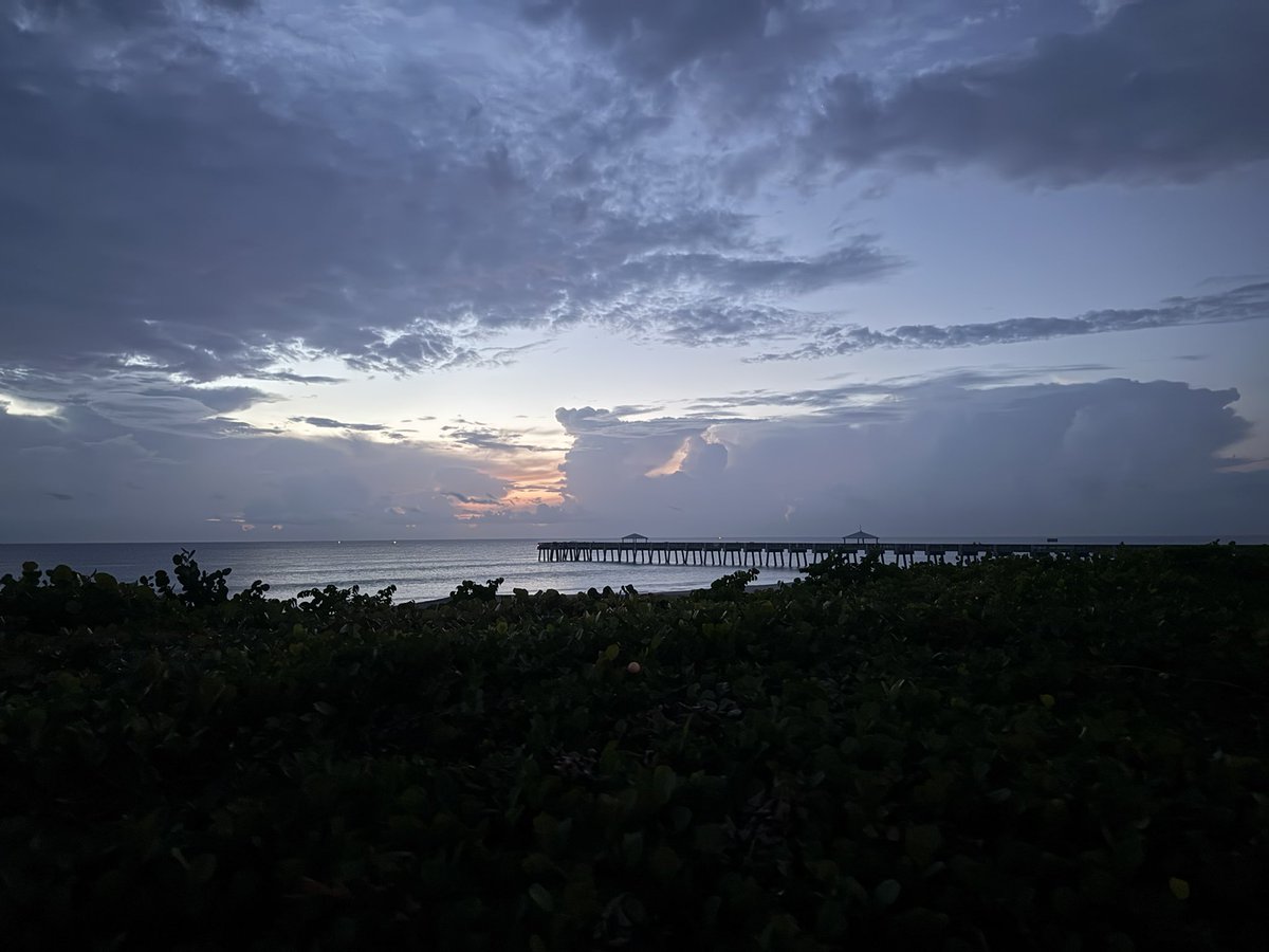 Matt Disney (@disney_lab) on Twitter photo 