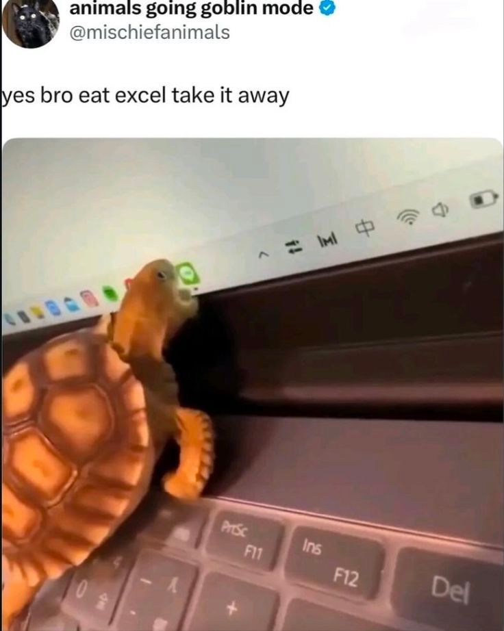 🕐HOURLY🕑 shitpost (@hourly_shitpost) on Twitter photo 