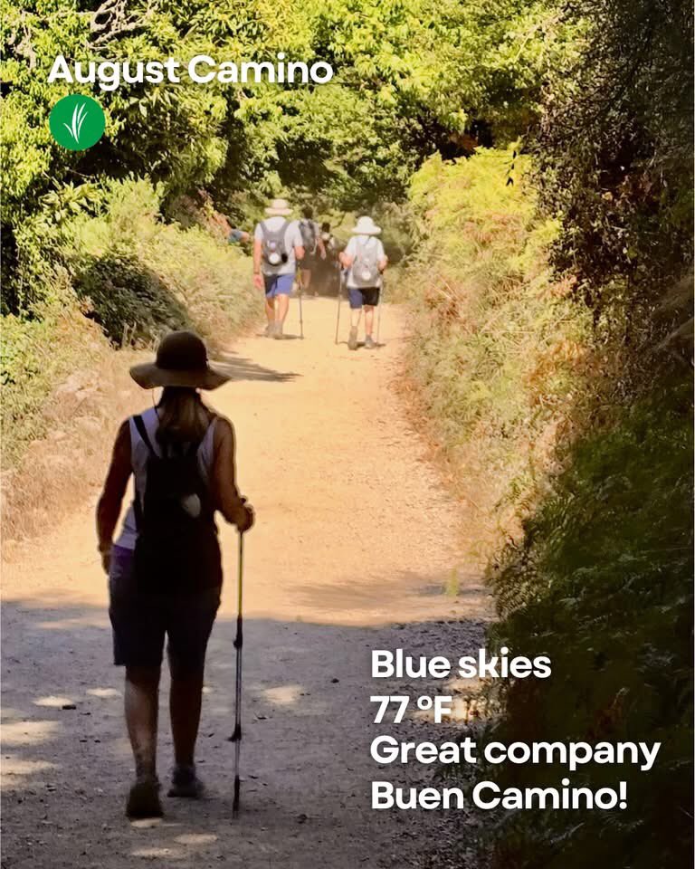 Hola, from the Camino!

Today, Wednesday 27, our ‘A Kinder (Gentler) Camino Tour’ continued their pilgrimage from Sarria to Santiago.

A very Buen Camino to them!

#LIVEfromtheCamino
#CaminodeSantiago
#BuenCamino