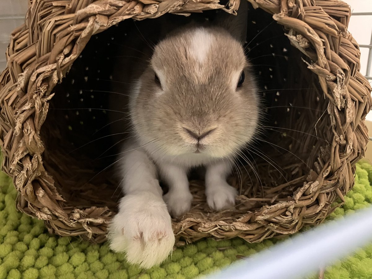 手デカッと思ったら