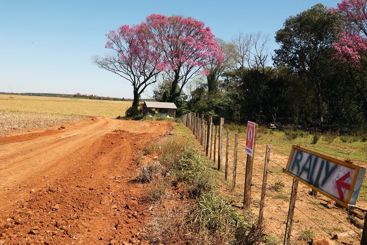 Exploring a brand-new playground 👀🇵🇾