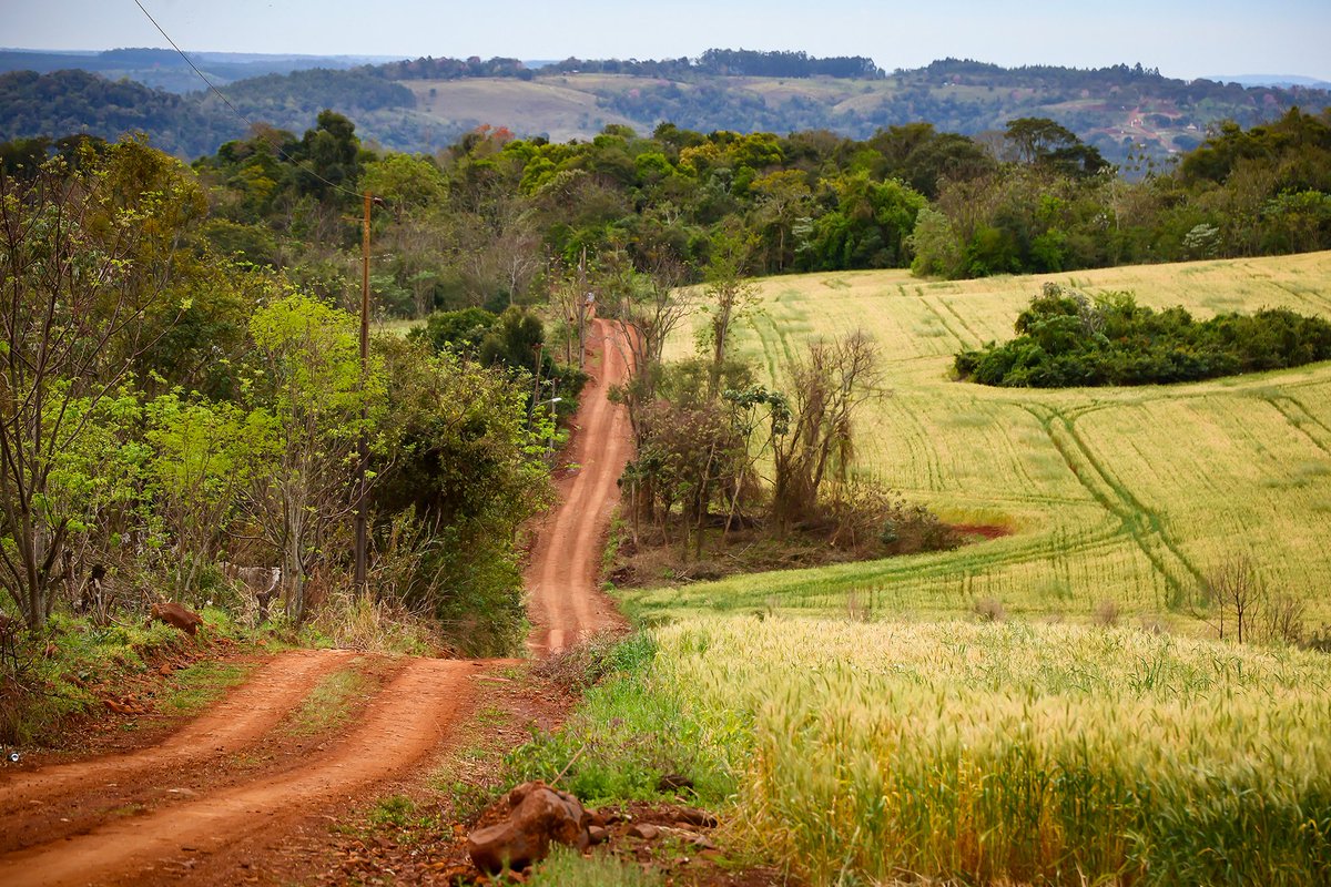 SebOgier's tweet image. Exploring a brand-new playground 👀🇵🇾