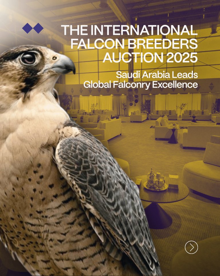 ToadaConsulting's tweet image. The #FalconAuction’s global momentum reflects the kind of visionary curation #Toada champions—where heritage meets innovation. With Toada’s track record in cultural strategy and immersive experiences, Saudi’s creative economy is soaring #ToadaConsulting