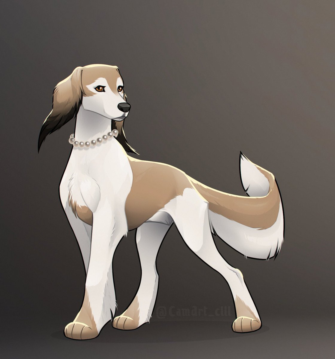 Pearl #dogs #digitalart