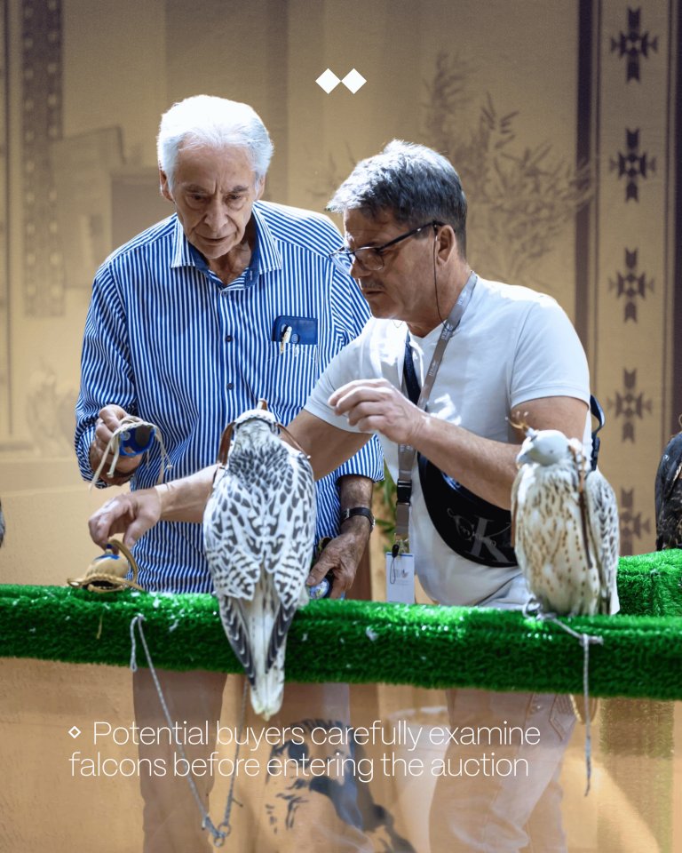 ToadaConsulting's tweet image. The #FalconAuction’s global momentum reflects the kind of visionary curation #Toada champions—where heritage meets innovation. With Toada’s track record in cultural strategy and immersive experiences, Saudi’s creative economy is soaring #ToadaConsulting