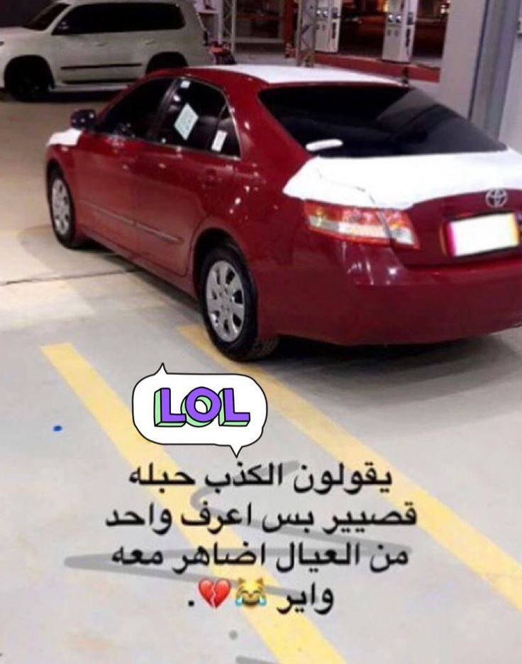 أباَ شرق tweet media
