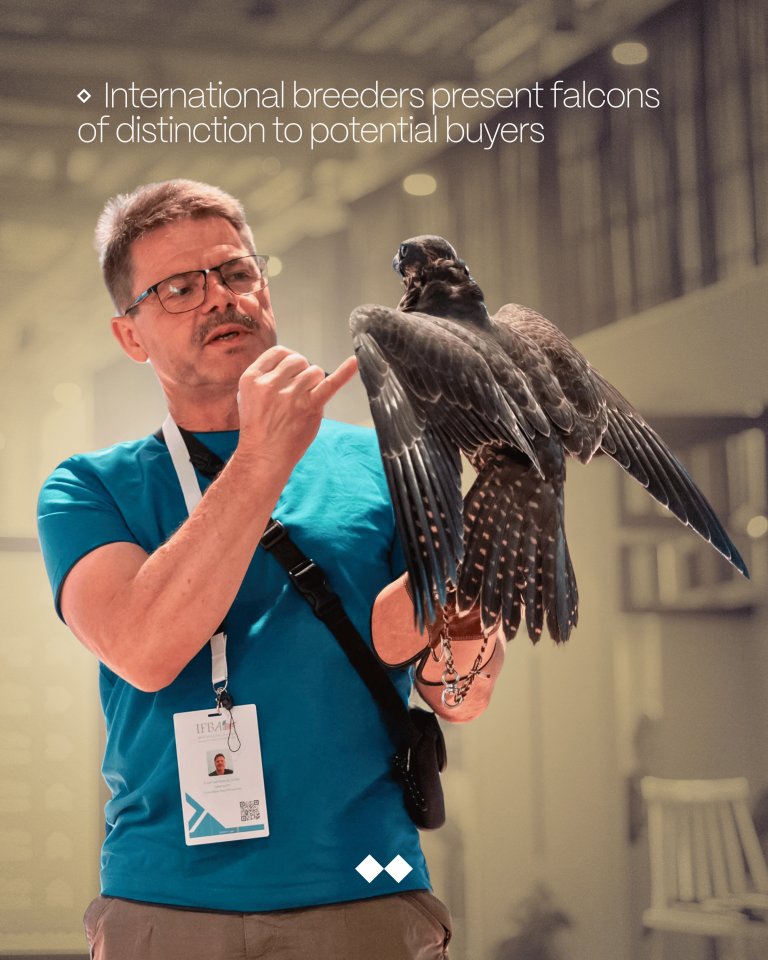 ToadaConsulting's tweet image. The #FalconAuction’s global momentum reflects the kind of visionary curation #Toada champions—where heritage meets innovation. With Toada’s track record in cultural strategy and immersive experiences, Saudi’s creative economy is soaring #ToadaConsulting