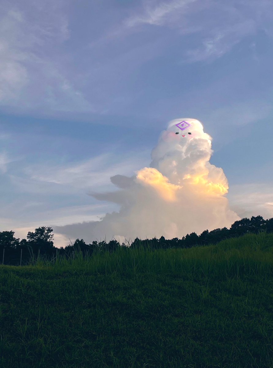 おっきいくも……！？😳