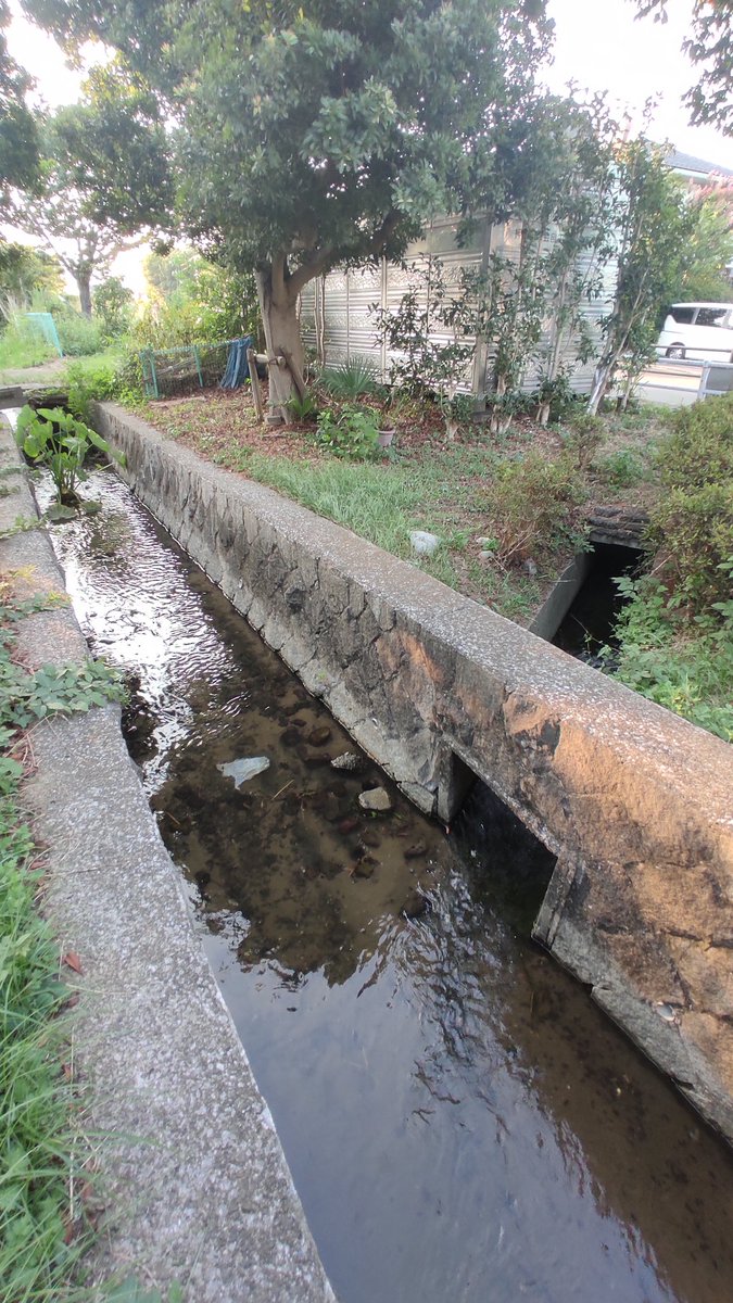 細い水路が鋭角に合流する。
（大丸用水・押立堀/稲城市押立）