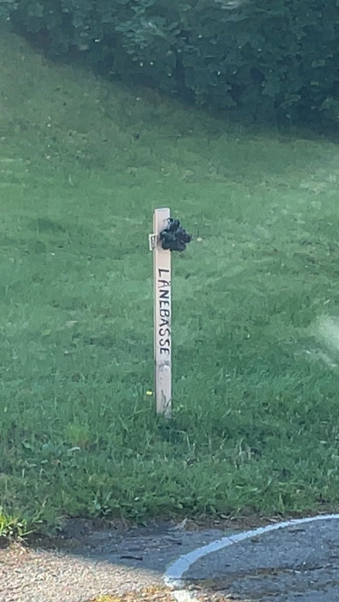 Kultur på Singsaker