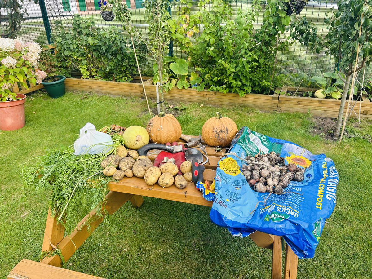 Deeplish C C (@deeplishcc) on Twitter photo Our fresh and first crop of Melons & pumpkins ready to taste at <a href="/deeplishcc/">Deeplish C C</a> with so many children and volunteers during lunch time today <a href="/WeActTogether/">Action Together</a> <a href="/gme_trust/">Greater Manchester Environment Fund</a> <a href="/RochdaleCouncil/">Rochdale Borough Council</a> <a href="/The_RHS/">The RHS</a> <a href="/4EVERManchester/">Forever Manchester</a> Our fresh and first crop of Melons & pumpkins ready to taste at <a href="/deeplishcc/">Deeplish C C</a> with so many children and volunteers during lunch time today <a href="/WeActTogether/">Action Together</a> <a href="/gme_trust/">Greater Manchester Environment Fund</a> <a href="/RochdaleCouncil/">Rochdale Borough Council</a> <a href="/The_RHS/">The RHS</a> <a href="/4EVERManchester/">Forever Manchester</a>