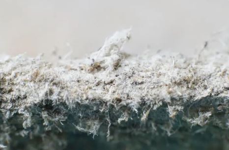 The family of a former electrician from Manchester who died from mesothelioma have received a six-figure settlement after his former employer admitted exposing him to asbestos. <a href="/Stevedickenslaw/">Steven Dickens</a> represents leighdaylaw.info/45BV5gL #asbestos #mesothelioma