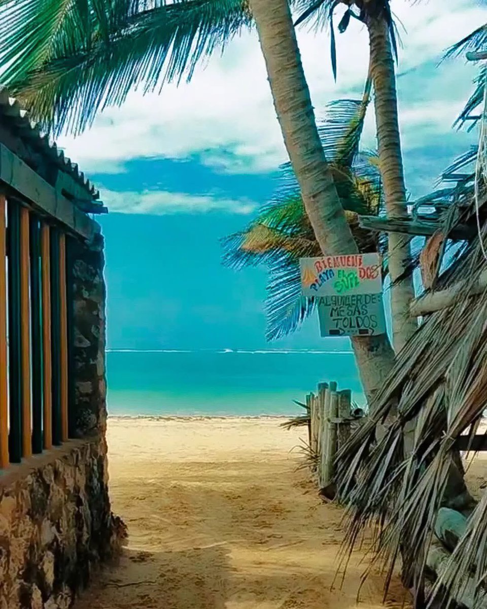 Gianluca Cocconcelli Cavalli (@gianlucacoccon1) on Twitter photo Maravilloso
Playa EL SUPÍ Península de Paraguaná…Edo Falcón VENEZUELA 🇻🇪🇻🇪🇻🇪🇻🇪🇻🇪🇻🇪🇻🇪🇻🇪🇻🇪🇻🇪🇻🇪🇻🇪🇻🇪🇻🇪🇻🇪🇻🇪🇻🇪
<a href="/venezuelaenfoto/">Venezuela en Foto</a> Maravilloso
Playa EL SUPÍ Península de Paraguaná…Edo Falcón VENEZUELA 🇻🇪🇻🇪🇻🇪🇻🇪🇻🇪🇻🇪🇻🇪🇻🇪🇻🇪🇻🇪🇻🇪🇻🇪🇻🇪🇻🇪🇻🇪🇻🇪🇻🇪
<a href="/venezuelaenfoto/">Venezuela en Foto</a>