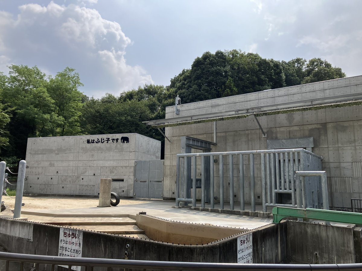 米津パンダさち子(米津さち子) tweet media