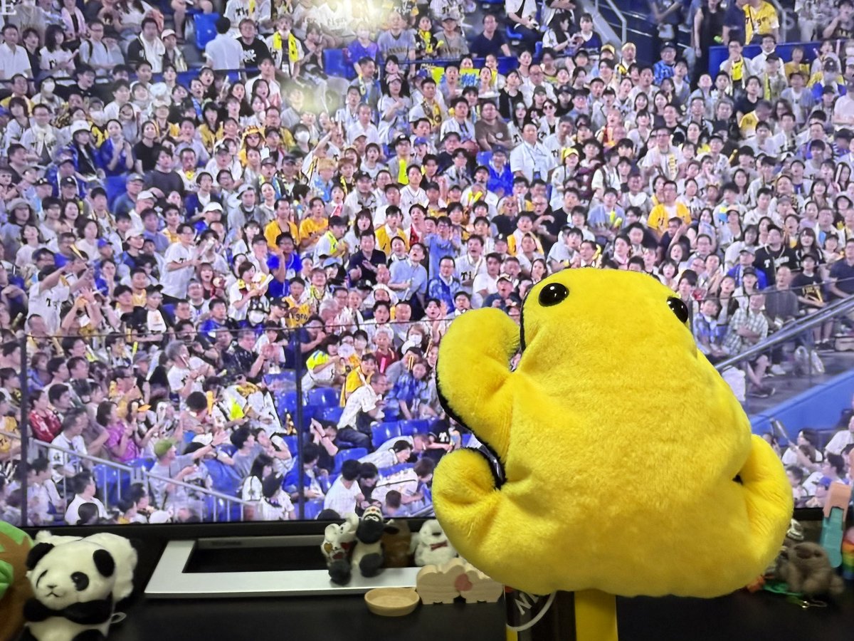はらぴー（kaz） on X: 