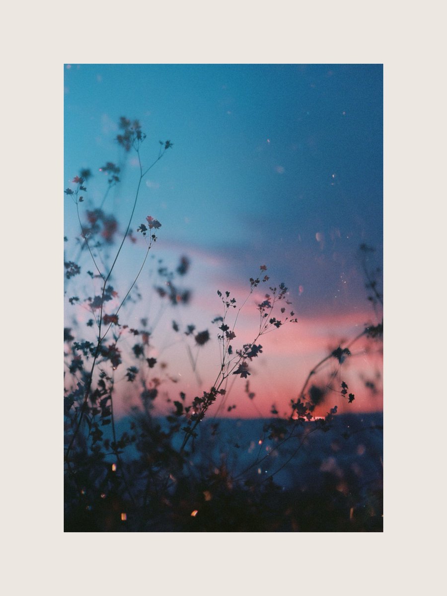 wunder (@suisounonou_jp) on Twitter photo 