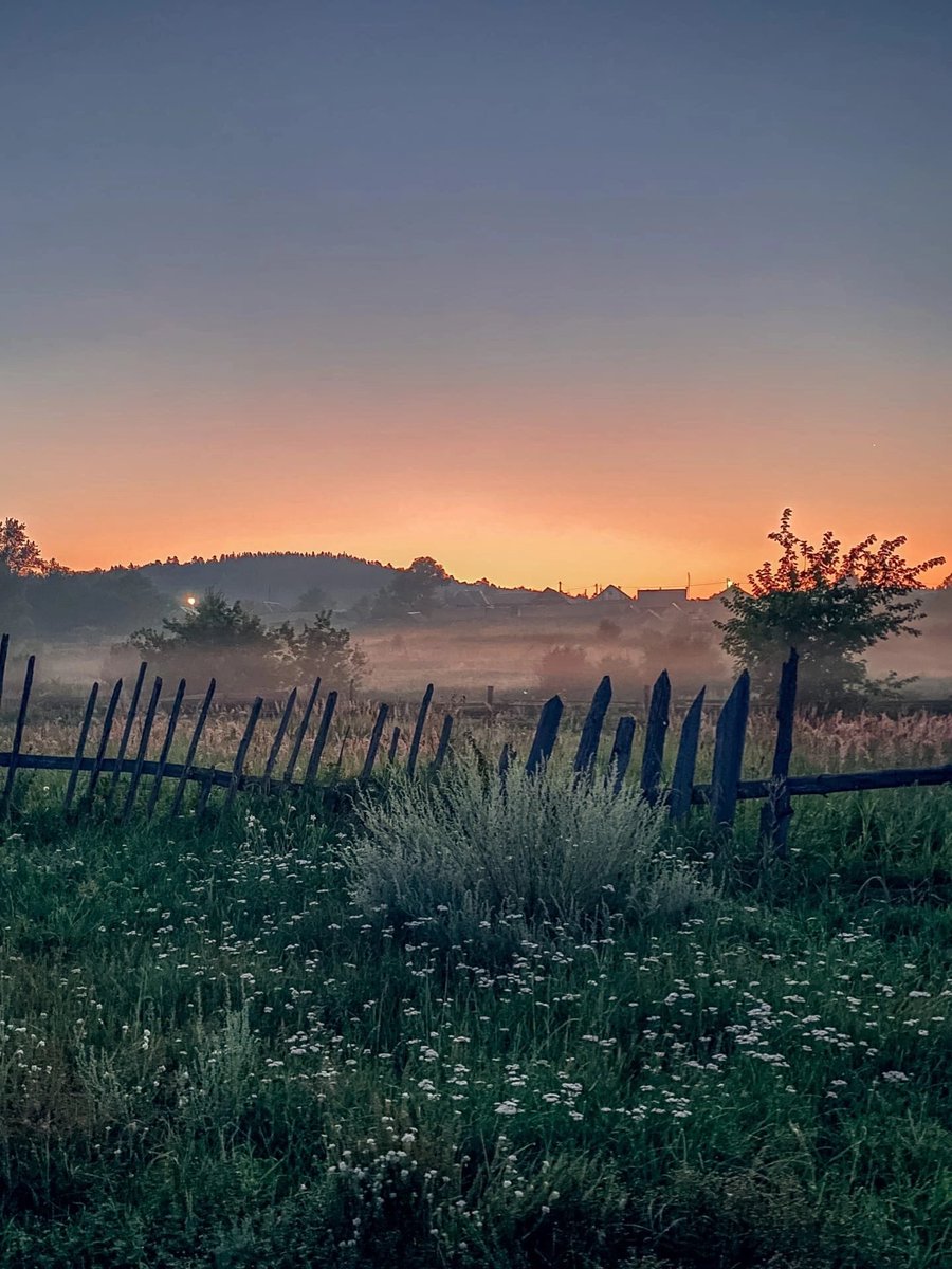 xantaeva's tweet image. А давайте устроим обмен фото, которые не стыдно поставить на обои? Одно условие: это должно быть именно ВАШЕ фото