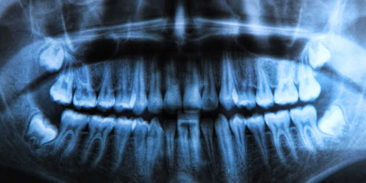 _aestheticprimal_ tweet media