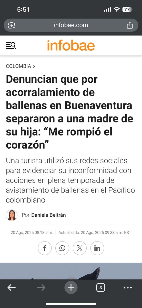 O mejor no vayan 🙂