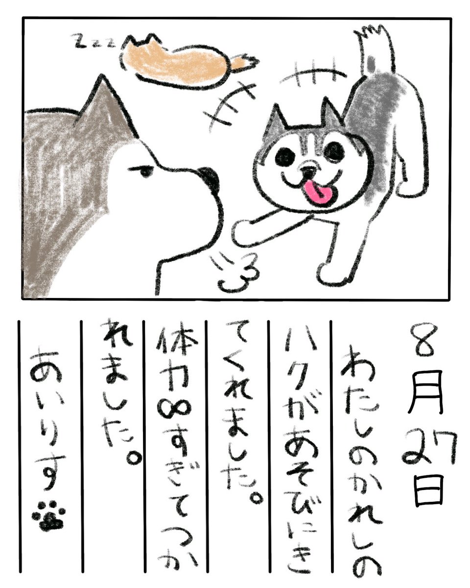 アイリスの絵日記